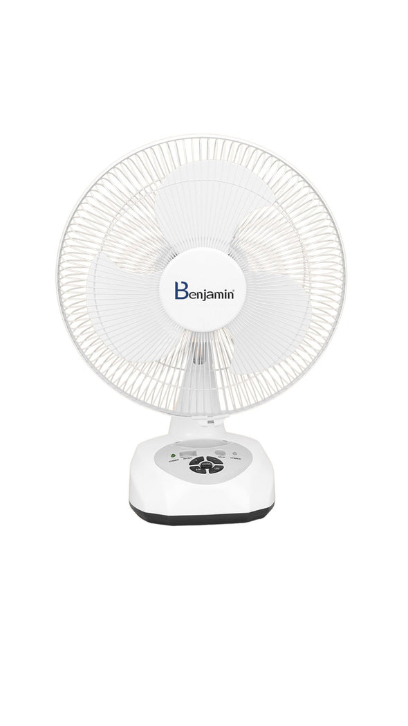 Rechargeable Fan