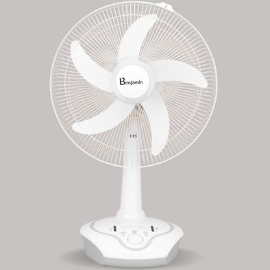 5916 BLDC AC/DC Rechargeable Battery Fan 16 Inches Blade 400 mm BLDC Motor 5 Blade Table Fan