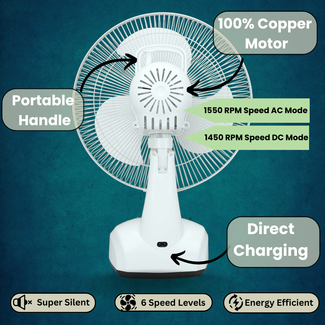 Benjamin BEN-5912 12 Inches Premium AC/DC Rechargeable Fan – Benjmain ...